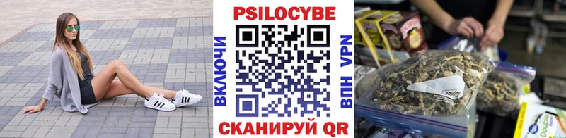 Галлюциногенные грибы Psilocybine cubensis  купить закладку  Иркутск 